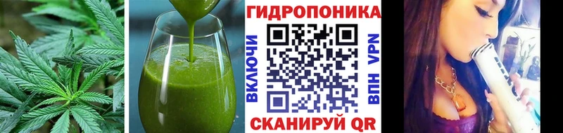 сколько стоит  Яхрома  Еда ТГК конопля 