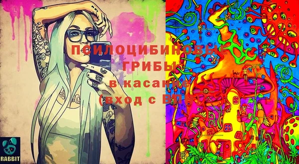 МДПВ Алексин