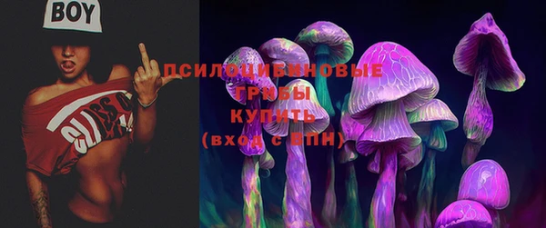 дживик Абинск