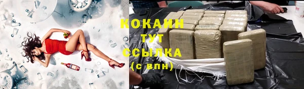дживик Абинск