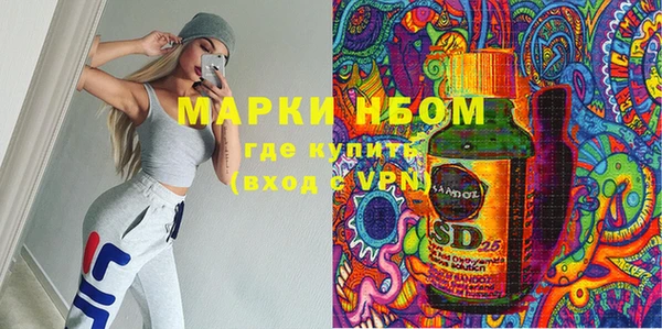 индика Краснотурьинск