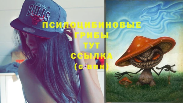 марки lsd Абаза