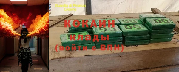 дживик Абинск