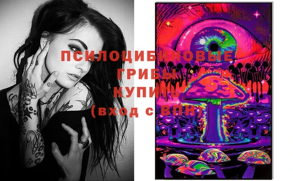 марки lsd Абаза